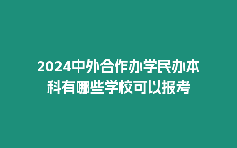 2024中外合作辦學民辦本科有哪些學校可以報考