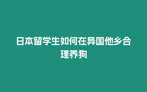 日本留學生如何在異國他鄉(xiāng)合理養(yǎng)狗