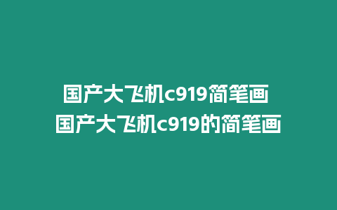 國產大飛機c919簡筆畫 國產大飛機c919的簡筆畫