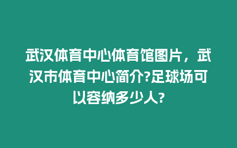 武漢體育中心體育館圖片，武漢市體育中心簡介?足球場可以容納多少人?