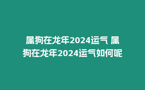 屬狗在龍年2024運氣 屬狗在龍年2024運氣如何呢