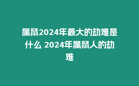 屬鼠2024年最大的劫難是什么 2024年屬鼠人的劫難