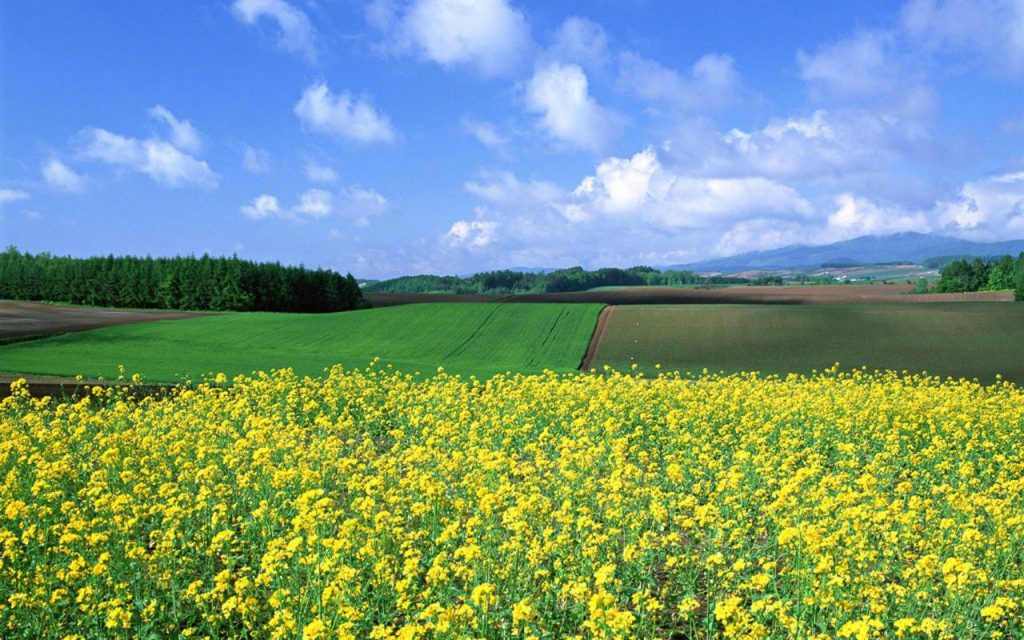 河南臨州附近有什么旅游景點（河南臨州附近有什么旅游景點好玩）