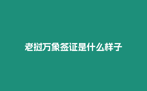 老撾萬象簽證是什么樣子