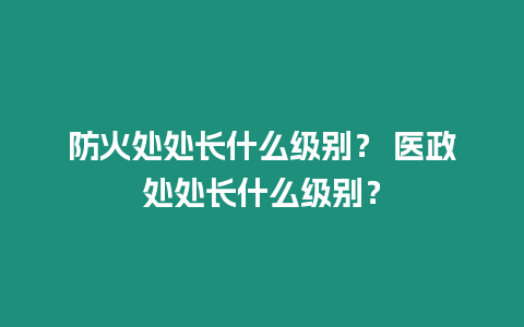 防火處處長什么級別？ 醫政處處長什么級別？