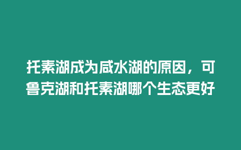 托素湖成為咸水湖的原因，可魯克湖和托素湖哪個(gè)生態(tài)更好