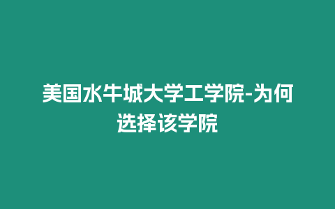 美國水牛城大學工學院-為何選擇該學院