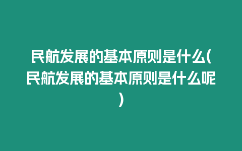 民航發展的基本原則是什么(民航發展的基本原則是什么呢)