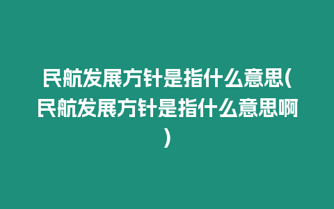 民航發展方針是指什么意思(民航發展方針是指什么意思啊)