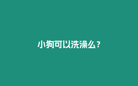 小狗可以洗澡么？