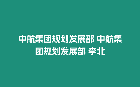 中航集團規劃發展部 中航集團規劃發展部 李北