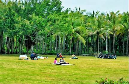 深林公園三亞門票優惠政策，三亞森林公園門票政策？