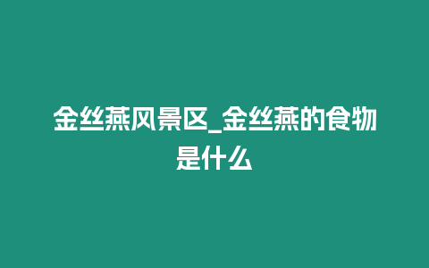 金絲燕風景區_金絲燕的食物是什么