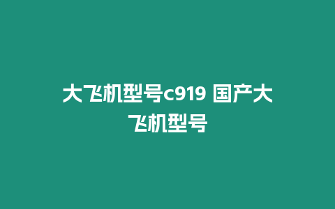 大飛機型號c919 國產大飛機型號