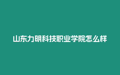 山東力明科技職業(yè)學(xué)院怎么樣