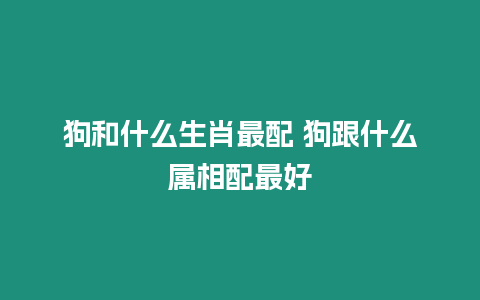 狗和什么生肖最配 狗跟什么屬相配最好