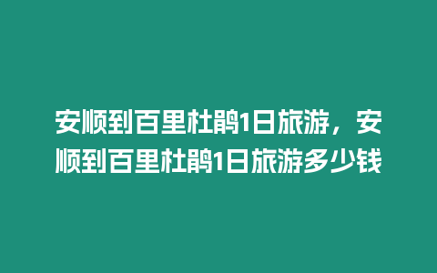 安順到百里杜鵑1日旅游，安順到百里杜鵑1日旅游多少錢