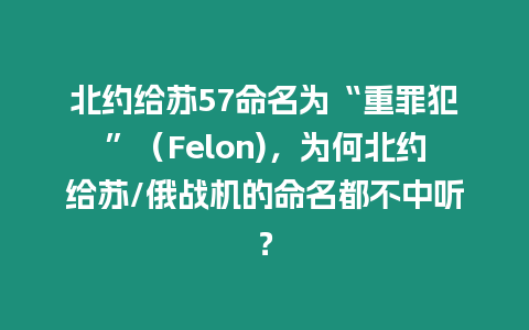 北約給蘇57命名為“重罪犯”（Felon)，為何北約給蘇/俄戰機的命名都不中聽？