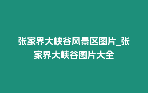 張家界大峽谷風(fēng)景區(qū)圖片_張家界大峽谷圖片大全