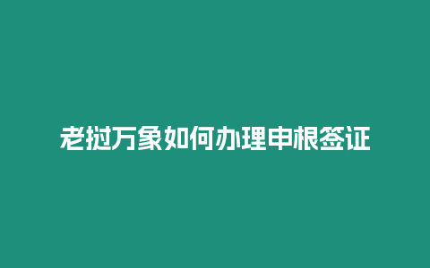 老撾萬象如何辦理申根簽證