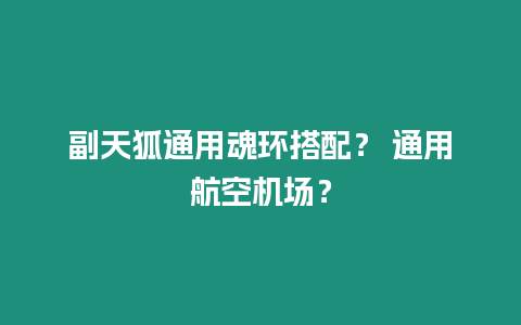 副天狐通用魂環(huán)搭配？ 通用航空機(jī)場(chǎng)？