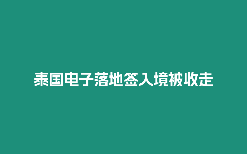 泰國電子落地簽入境被收走