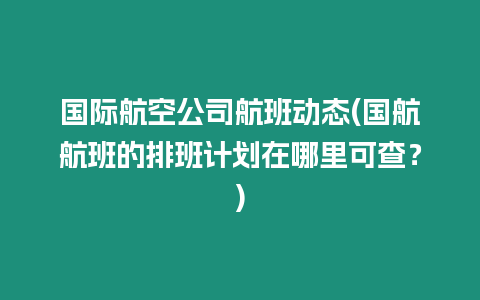 國際航空公司航班動態(tài)(國航航班的排班計劃在哪里可查？)