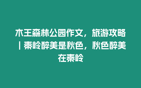 木王森林公園作文，旅游攻略｜秦嶺醉美是秋色，秋色醉美在秦嶺