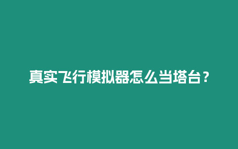 真實(shí)飛行模擬器怎么當(dāng)塔臺(tái)？