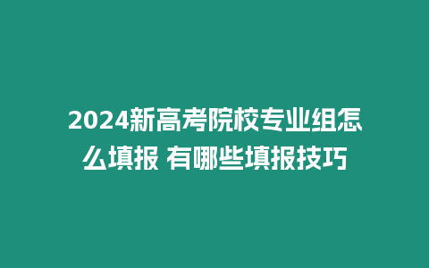 2024新高考院校專業組怎么填報 有哪些填報技巧