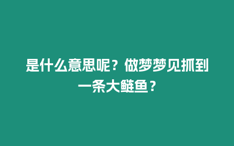 是什么意思呢？做夢(mèng)夢(mèng)見抓到一條大鰱魚？