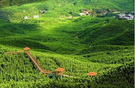 福建同安縣景點（福建同安縣景點介紹）