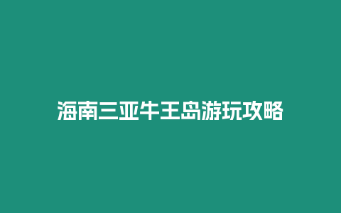 海南三亞牛王島游玩攻略