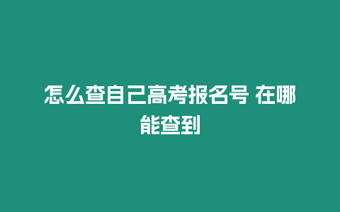 怎么查自己高考報(bào)名號 在哪能查到