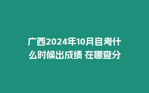 廣西2024年10月自考什么時候出成績 在哪查分