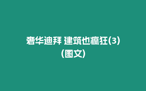 奢華迪拜 建筑也瘋狂(3)(圖文)