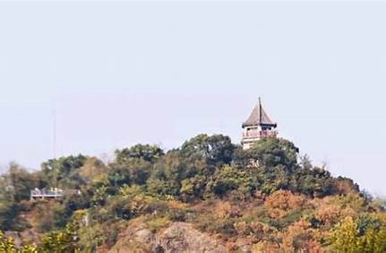 辰山植物園門票65周歲以上免票，辰山植物園門票65周歲以上免票政策？