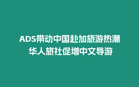 ADS帶動(dòng)中國(guó)赴加旅游熱潮 華人旅社促增中文導(dǎo)游