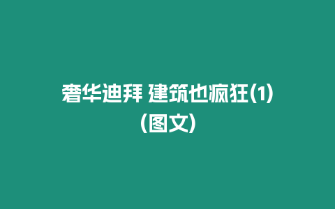 奢華迪拜 建筑也瘋狂(1)(圖文)