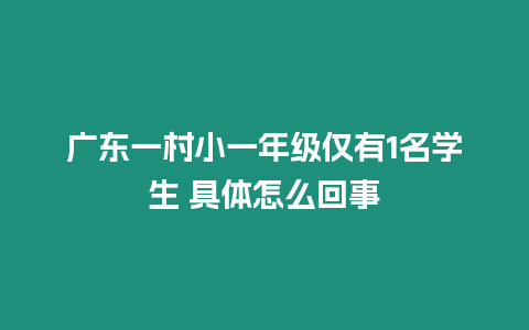 廣東一村小一年級僅有1名學生 具體怎么回事