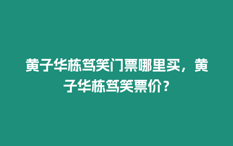 黃子華棟篤笑門票哪里買，黃子華棟篤笑票價(jià)？