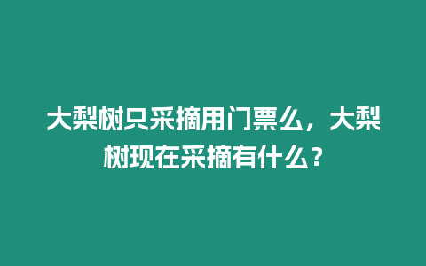 大梨樹只采摘用門票么，大梨樹現在采摘有什么？