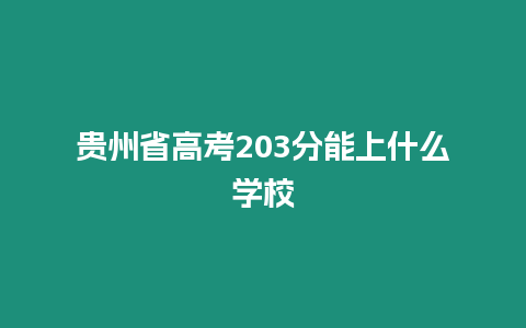 貴州省高考203分能上什么學校