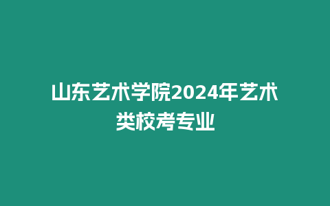 山東藝術(shù)學院2024年藝術(shù)類校考專業(yè)