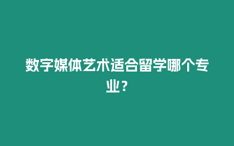 數(shù)字媒體藝術(shù)適合留學哪個專業(yè)？