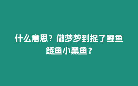 什么意思？做夢(mèng)夢(mèng)到捉了鯉魚(yú)鰱魚(yú)小黑魚(yú)？