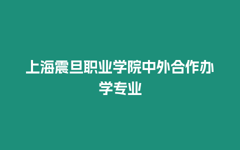 上海震旦職業學院中外合作辦學專業