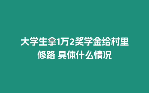 大學生拿1萬2獎學金給村里修路 具體什么情況