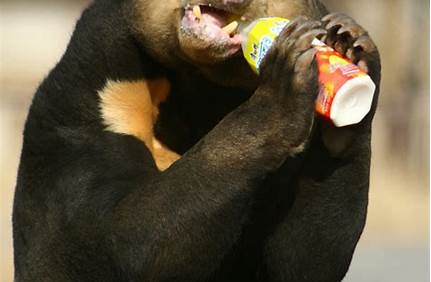 榆垡野生動物園門票團購，榆垡動物園門票多少錢？