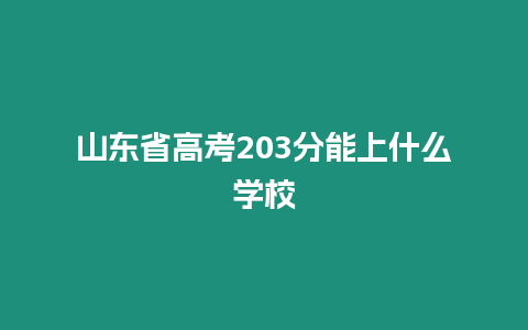 山東省高考203分能上什么學校